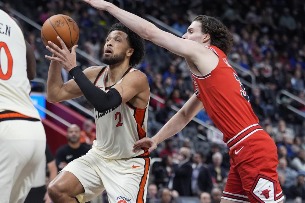 如果你需要 如果你需要